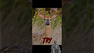 Deer Edit | More Than Just Memes #5