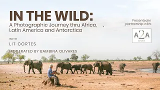 IN THE WILD:A Photographic Journey through Africa, Latin America and Antarctica