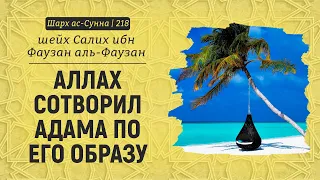 Аллах сотворил Адама по его образу | Шейх Салих аль-Фаузан | Шарх ас-Сунна (218)