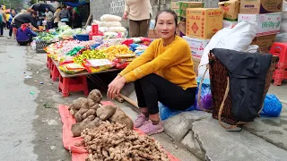 Harvest Ginger & Grinding Tuber Goes to the Market for Sale, my daily life | Ly Thi Tam