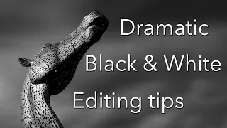 Black and white photo editing tutorial: Tips for Lightroom and Photoshop!