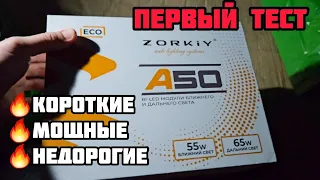 ZORKiY A50 - новинка 2024🔥 Мощные и недорогие #zorkiya50