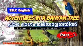 Adventures in a banyan tree malayalam 10th class | മലയാളത്തിൽ വിവരണം @OxfordAcademyKerala