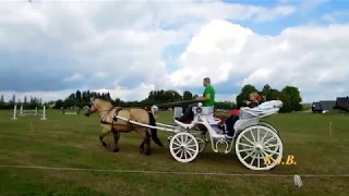 Žolinės šventė Jovarienės sodyboje 2018m