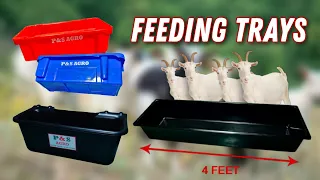 Goat Farming Feeding Tray Feeder for Goats & Sheep | New Farm Setup