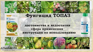 Топаз - хорошее средство от болезней растений