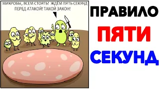 Мемы | ПРАВИЛО ПЯТИ СЕКУНД