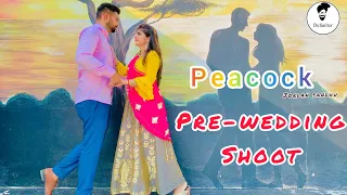 Peacock | Pre-Wedding shoot | Mr & Mrs Jossan | Latest Punjabi New Song 2021 |