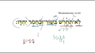 Deuteronomy 22:10