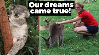 Meeting Koalas, Kangaroos and more Australian wildlife at Lone Pine Sanctuary