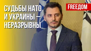 Украина идет в НАТО. Помощь от партнеров Альянса. Детали от Чернева