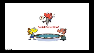 Webinar 12: Social Protection