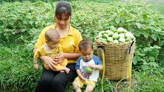 Single mother raising two children, Harvesting eggplants to sell, Cooking fish, Making pig pens