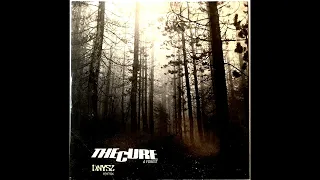 The Cure - a forest (DNYSZ remix)