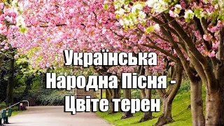 Українська Народна Пісня - Цвіте терен