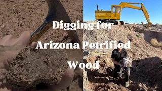 Digging for Arizona Petrified Wood