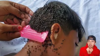 these bugs are really itchy..