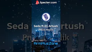 Seda-ft-Dj Artush-Pnjlik Mnjlik