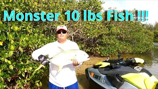 Catching a 10 lbs Jack while mangrove fishing on a 2022 Sea-Doo GTI SE 170