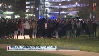 Pro-Palestinian protest at Ohio State leads to arrests