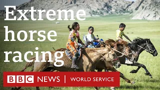 The longest horse race in the world - BBC World Service