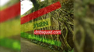 Dj J12N - sunny bomb / Ragga Jungle Mix / Drum and Bass / Dubwise / Old School / Dnb Squad