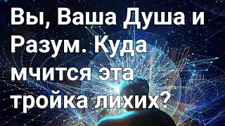 Вы, Ваша Душа и Разум. Куда мчится эта тройка лихих ?