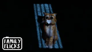 Thrown Into Jail | Puss In Boots (2011) | Family Flicks