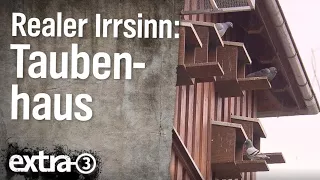 Realer Irrsinn: Das Taubenhaus bei Fulda  | extra 3 | NDR