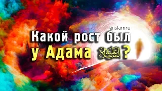 Какой рост был у Адама ﻋﻠﻳﻪﺍﻠﺳﻼﻡ?