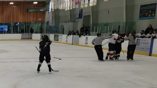 Girls hockey fight