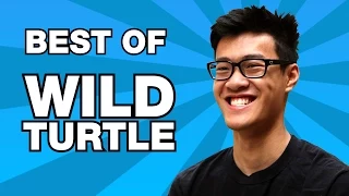 Best of WildTurtle | Not Actually a Turtle