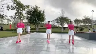 Bướm say - Shuffle dance Nguyễn Thái-Đặng Hường-Thu Thủy