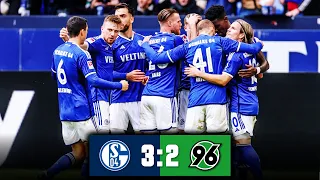 FC Schalke 04 - Hannover 96 3:2 | Tore & Highlights | Stadion Reaktion