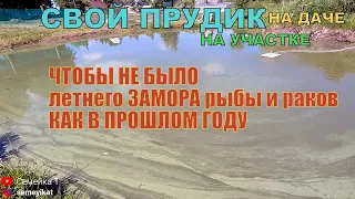 Предотвращаю летний замор в своём пруду на участке с рыбой и раками. Выращиваю хлореллу для пруда