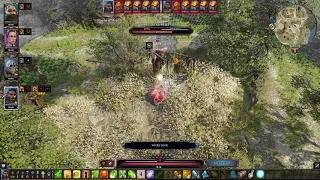 divinity 2 - scarecrows (+ 3 level) - solo no lone wolf - Ranger - tactician