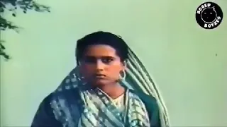 Pakistani Punjabi Action  movie