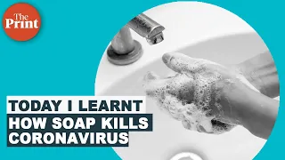 Why soap is your best friend during the coronavirus pandemic