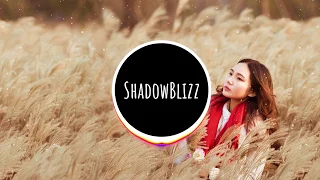 BraveLion - Tropical Flow | No Copyright Music | ShadowBlizz