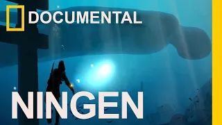 DOCUMENTAL DEL NINGEN, EL GIGANTE DEL ARTICO,  PART 01 - #leyendas #misterio #criaturas