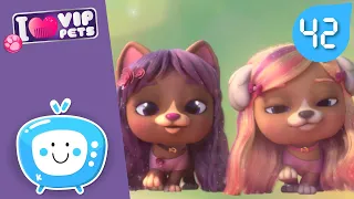 😎 PETRECE CU PRIETENII 😎 VIP PETS 🌈 Episoade COMPLETE ✨ DESENE pentru COPII în ROMÂNĂ