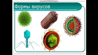 Біологія. Неклітинна форма життя. Віруси. 9 клас