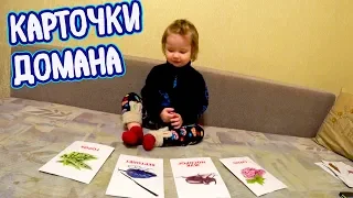 Игра в Карточки Домана, познаем мир, учимся читать. Методика Домана. Вундеркинд с пеленок