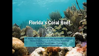 Introducing Florida's Coral Reef!