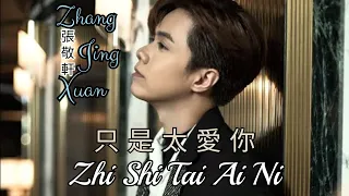 Zhi Shi Tai Ai Ni 只是太爱你 Lyrics Pinyin - Zhang Jing Xuan 张敬轩 Hins Chueng ( MANDARIN SONG )