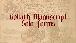 Zweihander solo forms from the Goliath Manuscript
