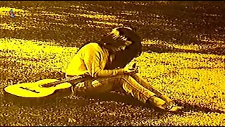 Martinha - Eu Daria a Minha Vida ( Martinha ) 1968.