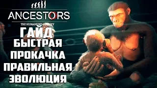 Как БЫСТРО Прокачаться и Правильно Эволюционировать Ancestors The Humankind Odyssey