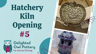 Kiln Opening #5 - Jan 19, 2023 Delighted Owl Hatchery - Skutt 818