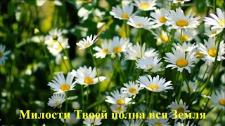 062. Милости Твоей полна вся Земля (ц. Вифания)